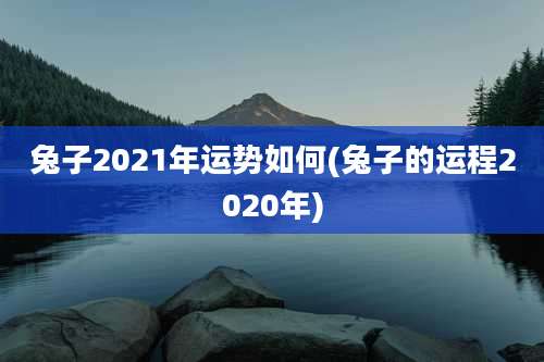 兔子2021年运势如何(兔子的运程2020年)