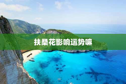 扶桑花影响运势嘛