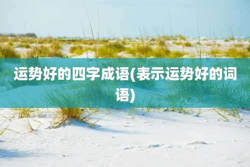 运势好的四字成语(表示运势好的词语)