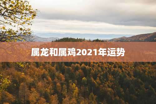 属龙和属鸡2021年运势
