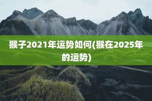 猴子2021年运势如何(猴在2025年的运势)