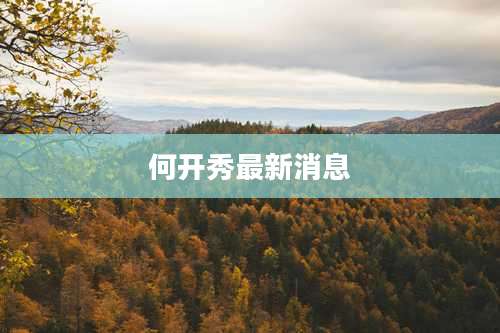 何开秀最新消息