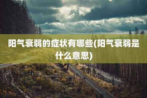 阳气衰弱的症状有哪些(阳气衰弱是什么意思)
