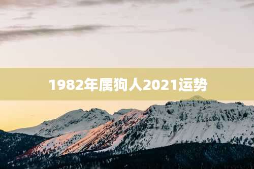 1982年属狗人2021运势
