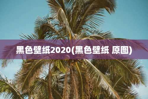 黑色壁纸2020(黑色壁纸 原图)