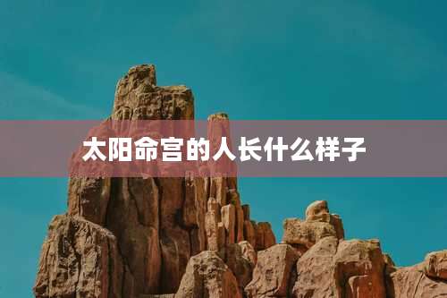 太阳命宫的人长什么样子