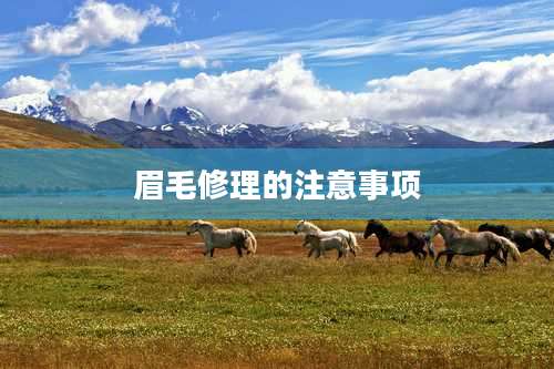 眉毛修理的注意事项