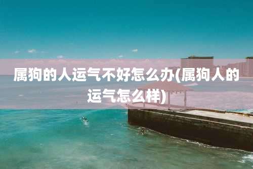 属狗的人运气不好怎么办(属狗人的运气怎么样)