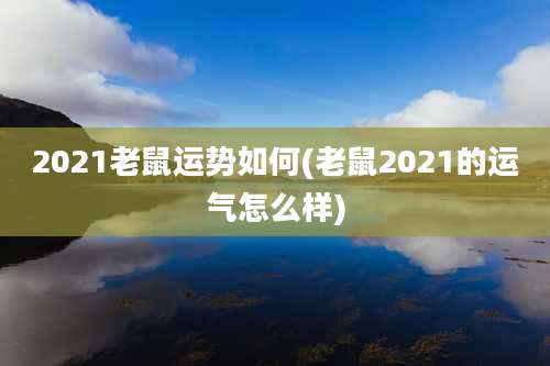 2021老鼠运势如何(老鼠2021的运气怎么样)