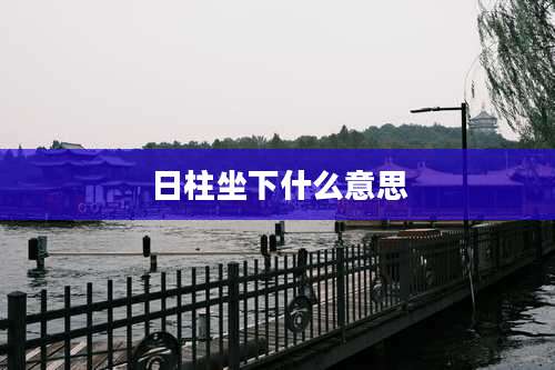 日柱坐下什么意思