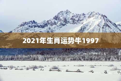 2021年生肖运势牛1997