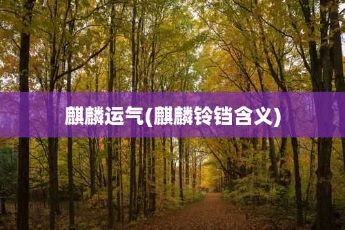 麒麟运气(麒麟铃铛含义)