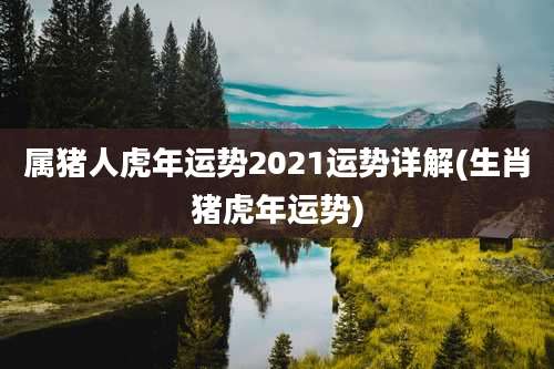 属猪人虎年运势2021运势详解(生肖猪虎年运势)