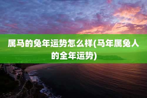 属马的兔年运势怎么样(马年属兔人的全年运势)