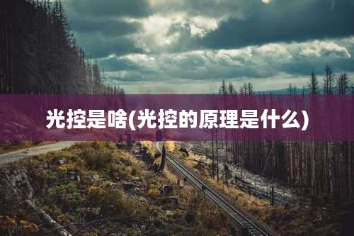 光控是啥(光控的原理是什么)