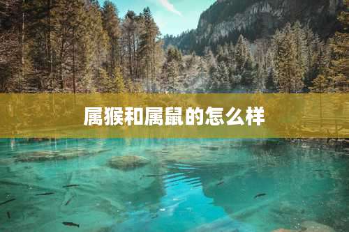 属猴和属鼠的怎么样