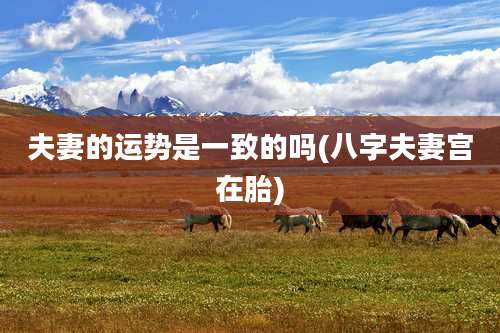 夫妻的运势是一致的吗(八字夫妻宫在胎)