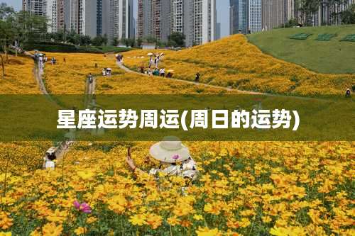 星座运势周运(周日的运势)