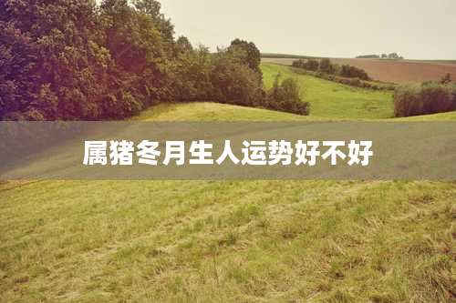 属猪冬月生人运势好不好