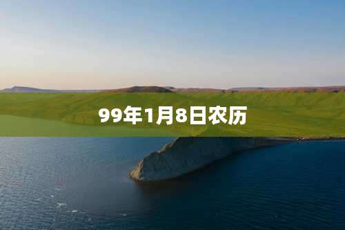 99年1月8日农历