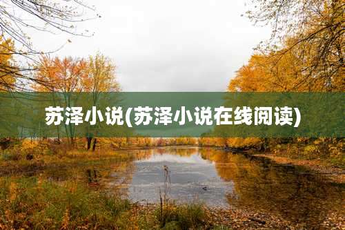 苏泽小说(苏泽小说在线阅读)