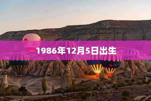 1986年12月5日出生