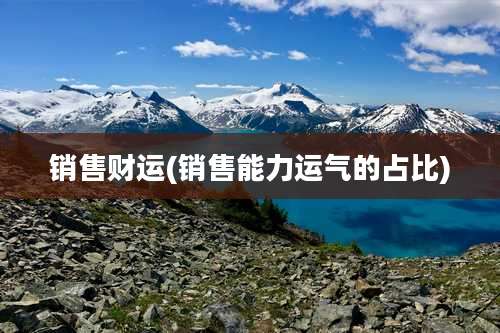 销售财运(销售能力运气的占比)