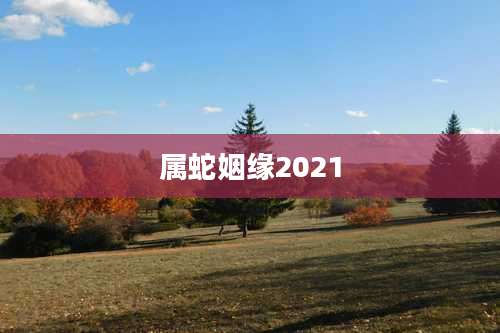 属蛇姻缘2021