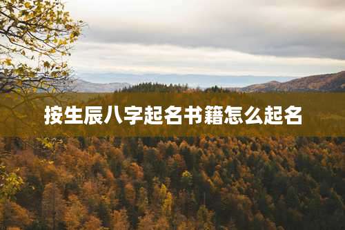 按生辰八字起名书籍怎么起名