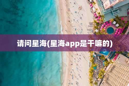请问星海(星海app是干嘛的)