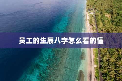 员工的生辰八字怎么看的懂