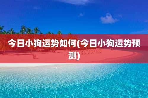 今日小狗运势如何(今日小狗运势预测)