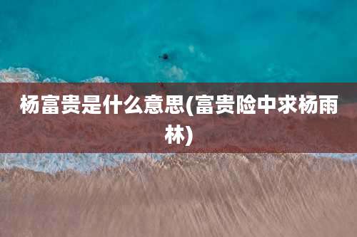 杨富贵是什么意思(富贵险中求杨雨林)