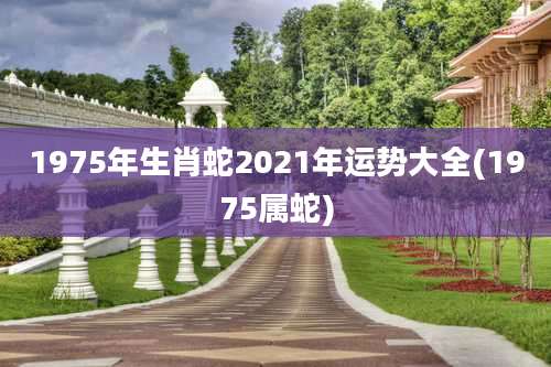 1975年生肖蛇2021年运势大全(1975属蛇)