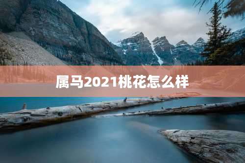 属马2021桃花怎么样