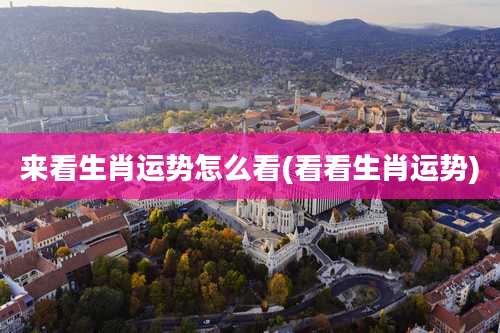 来看生肖运势怎么看(看看生肖运势)