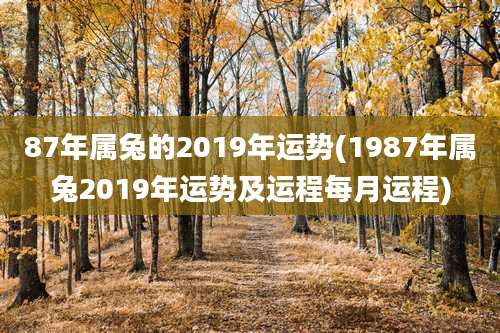 87年属兔的2019年运势(1987年属兔2019年运势及运程每月运程)