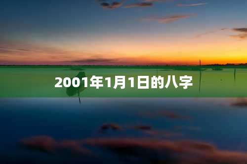 2001年1月1日的八字
