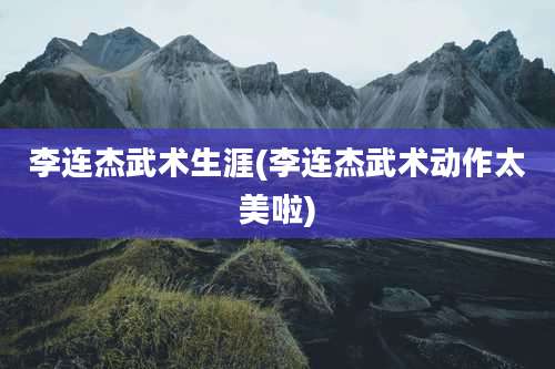 李连杰武术生涯(李连杰武术动作太美啦)