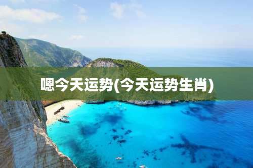 嗯今天运势(今天运势生肖)