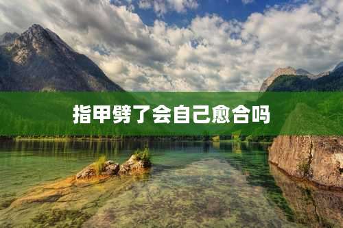 指甲劈了会自己愈合吗