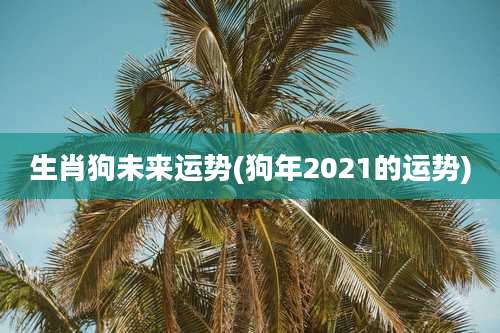 生肖狗未来运势(狗年2021的运势)