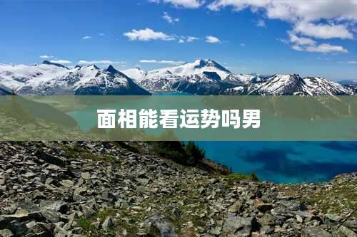 面相能看运势吗男