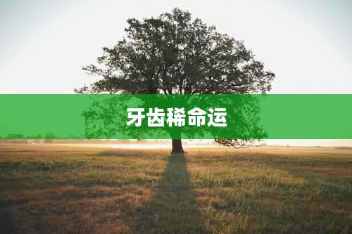 牙齿稀命运