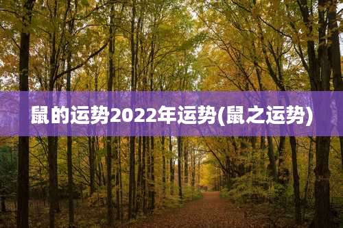 鼠的运势2022年运势(鼠之运势)