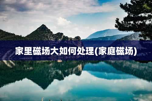 家里磁场大如何处理(家庭磁场)