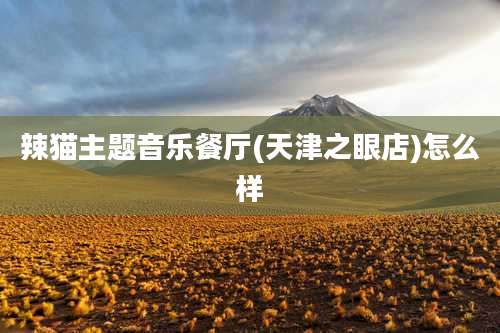 辣猫主题音乐餐厅(天津之眼店)怎么样