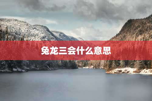兔龙三会什么意思