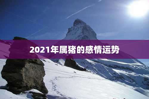 2021年属猪的感情运势