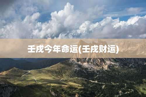 壬戌今年命运(壬戌财运)